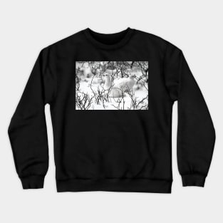 Ptarmigans in the Arctic Willow, Churchill, Canada Crewneck Sweatshirt